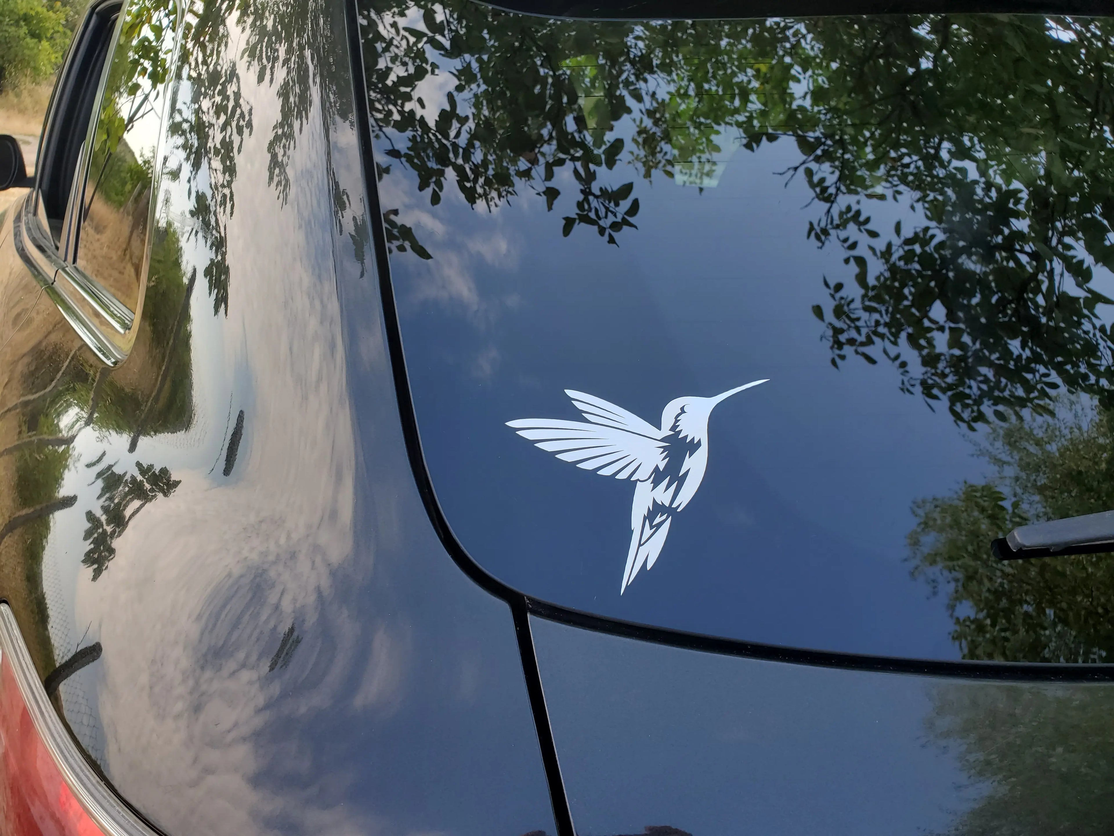 Hummingbird Vinyl Decal